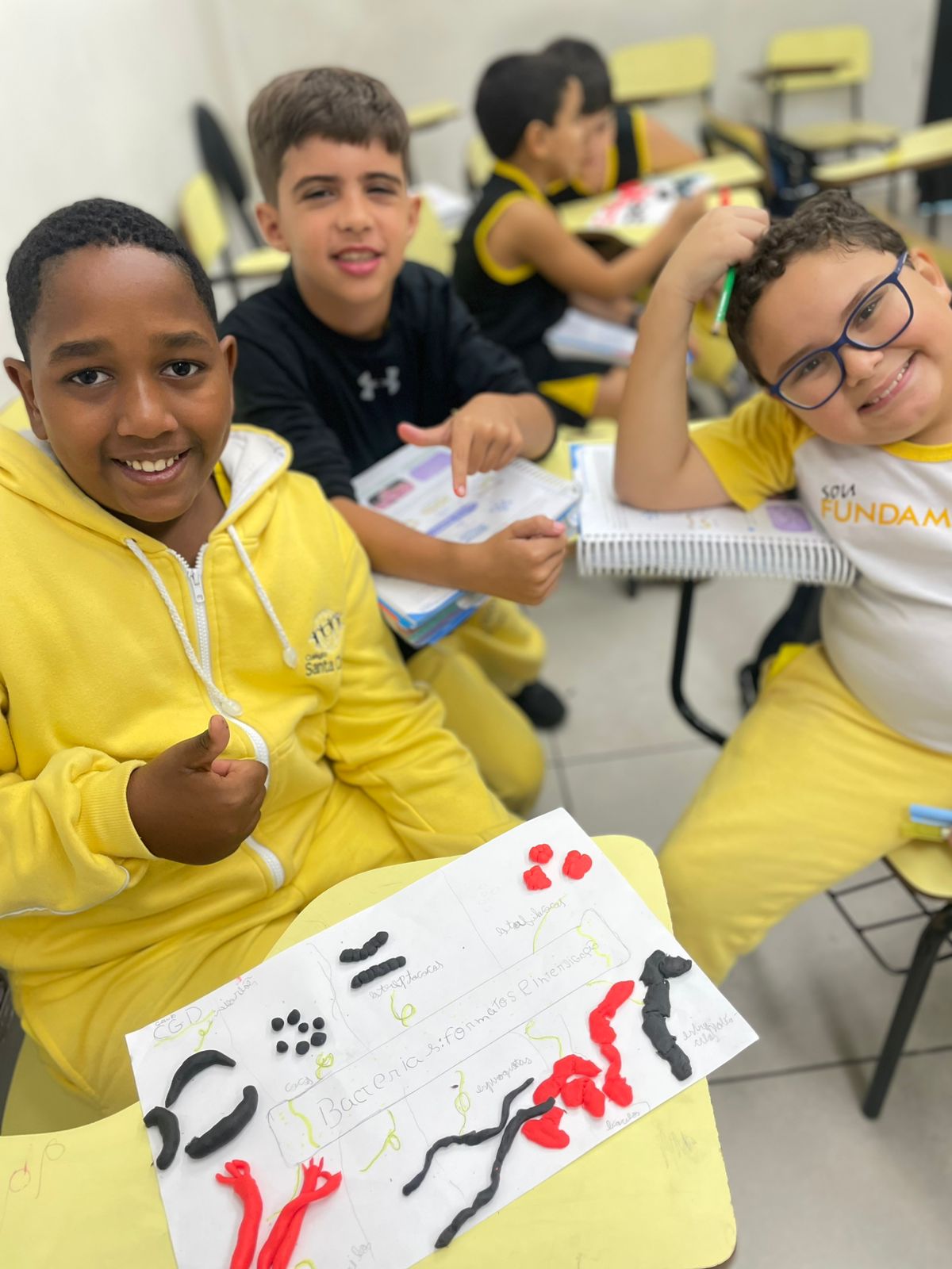 Ciência em 3D 4º Ano Modela o Mundo das Bactérias com Criatividade! 🔬✨.jfif