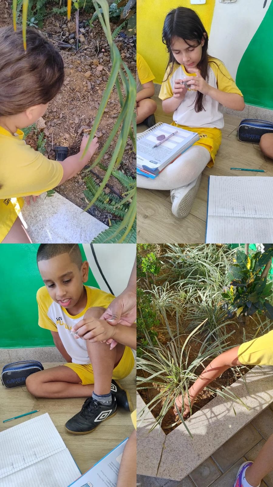 Explorando o solo na prática!.jfif