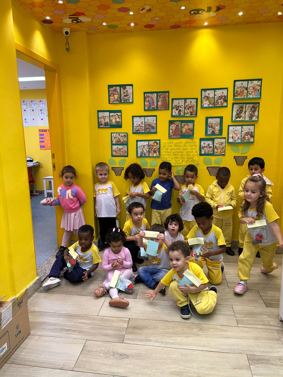 Cuidar, plantar e registrar!.jfif