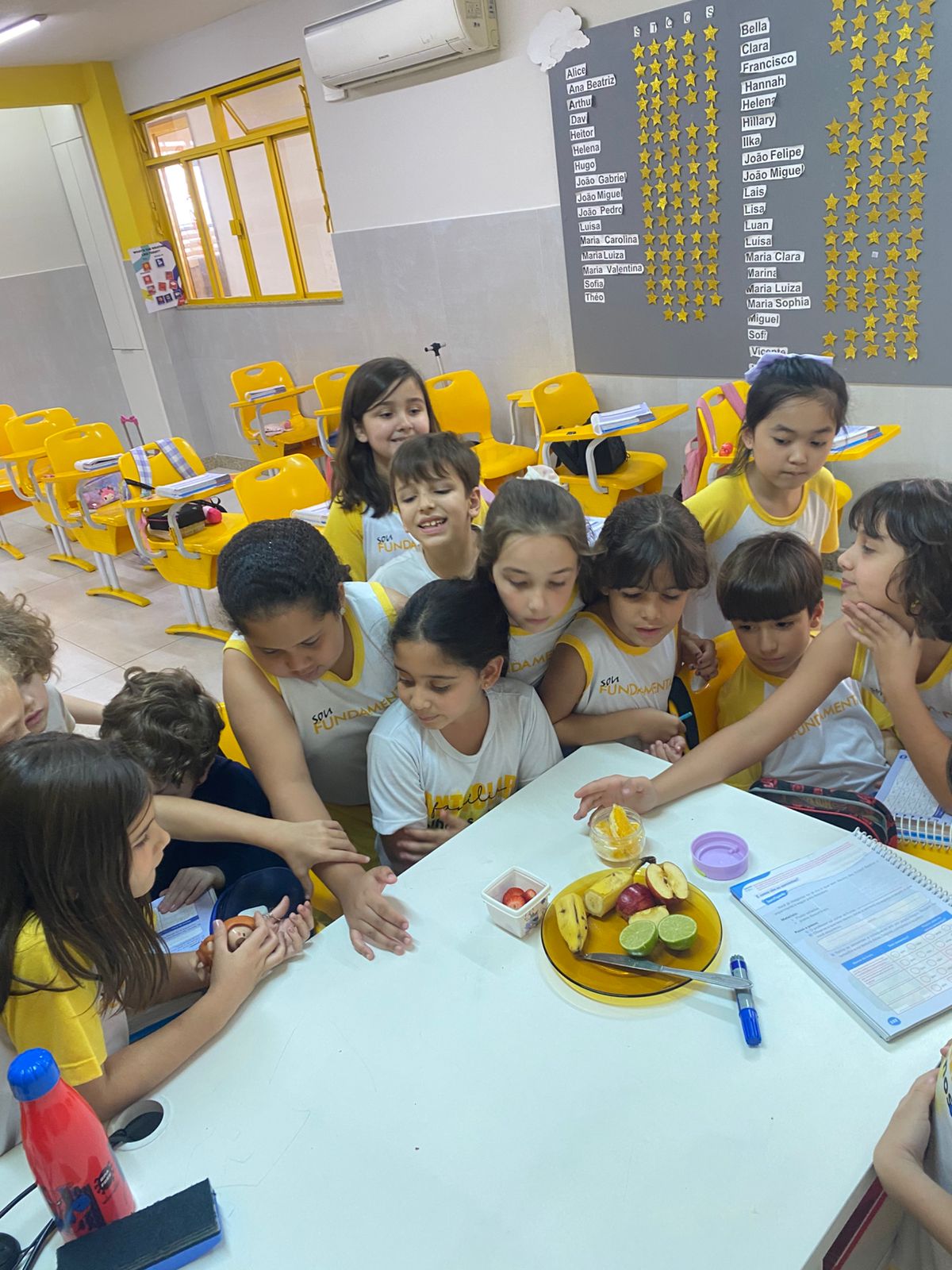 Descobrindo os frutos e suas sementes!.jfif