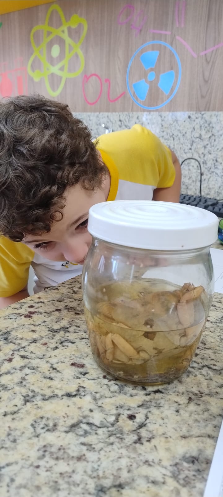 Classificando os Animais Teoria e Prática de Mãos Dadas! 🐾🔍.jfif