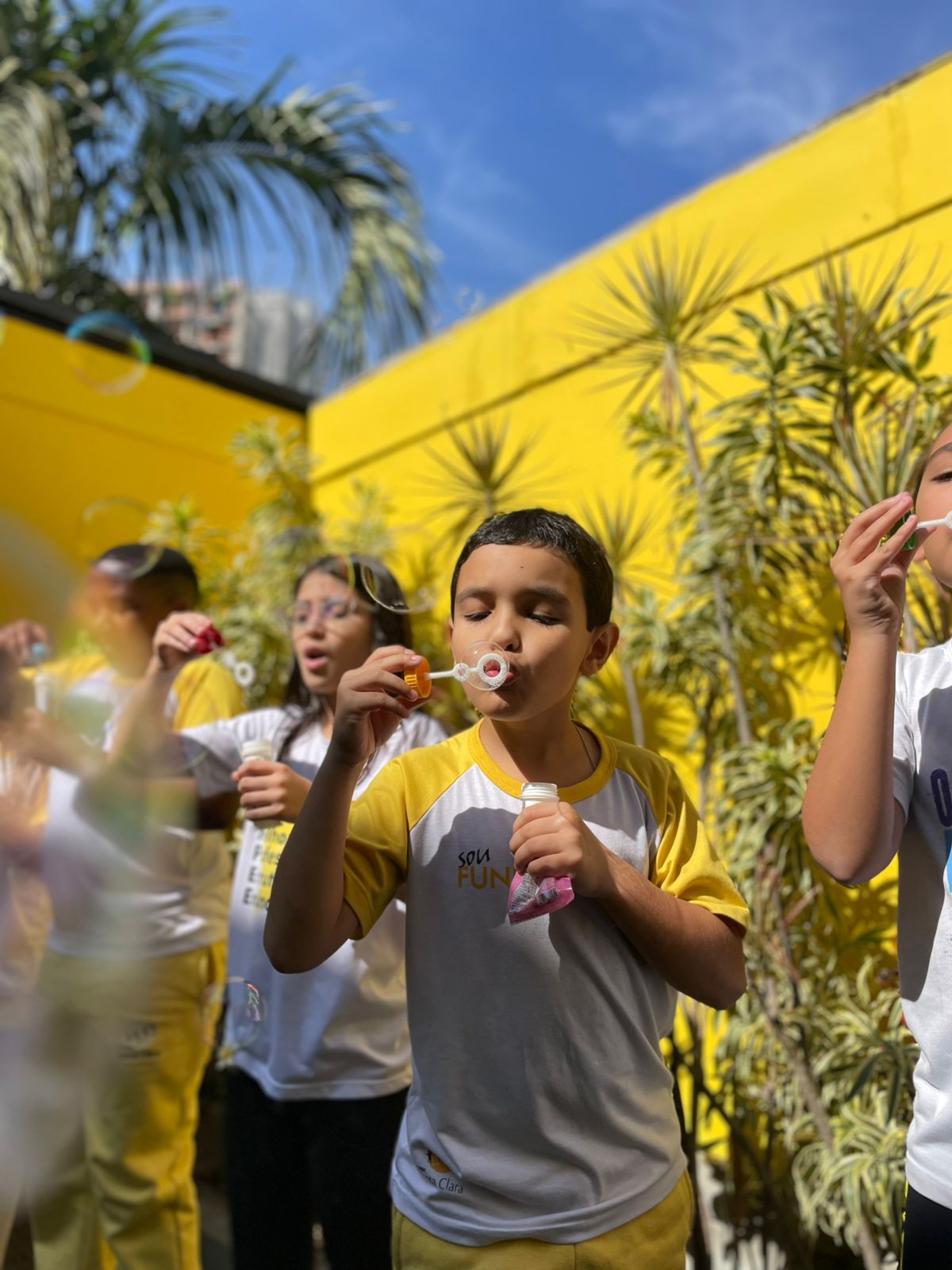 Encerramento do Semestre com Piquenique Coletivo2.jfif