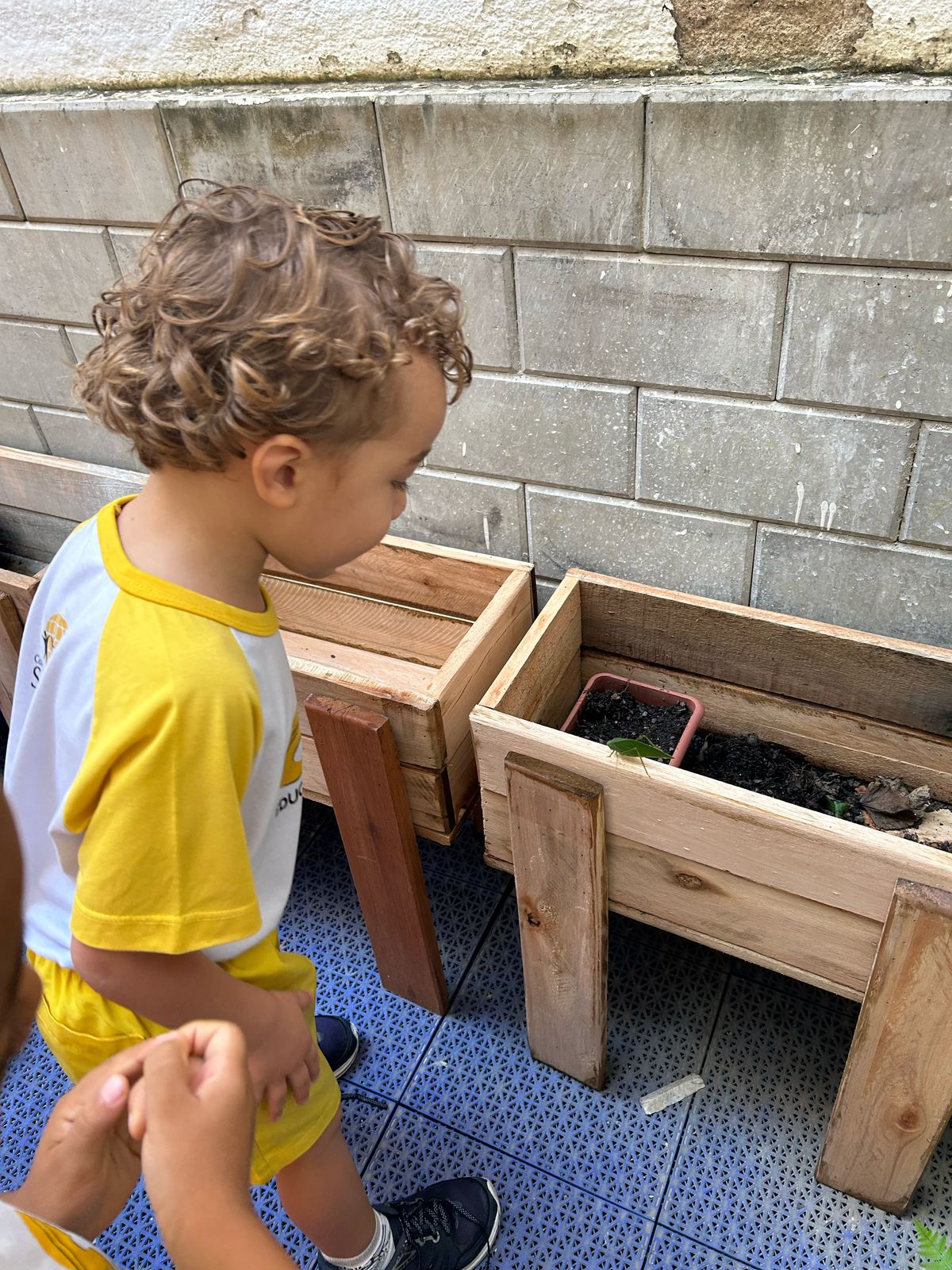 Crescendo com a Natureza Horta e Jardim na Educação Ambiental.jfif