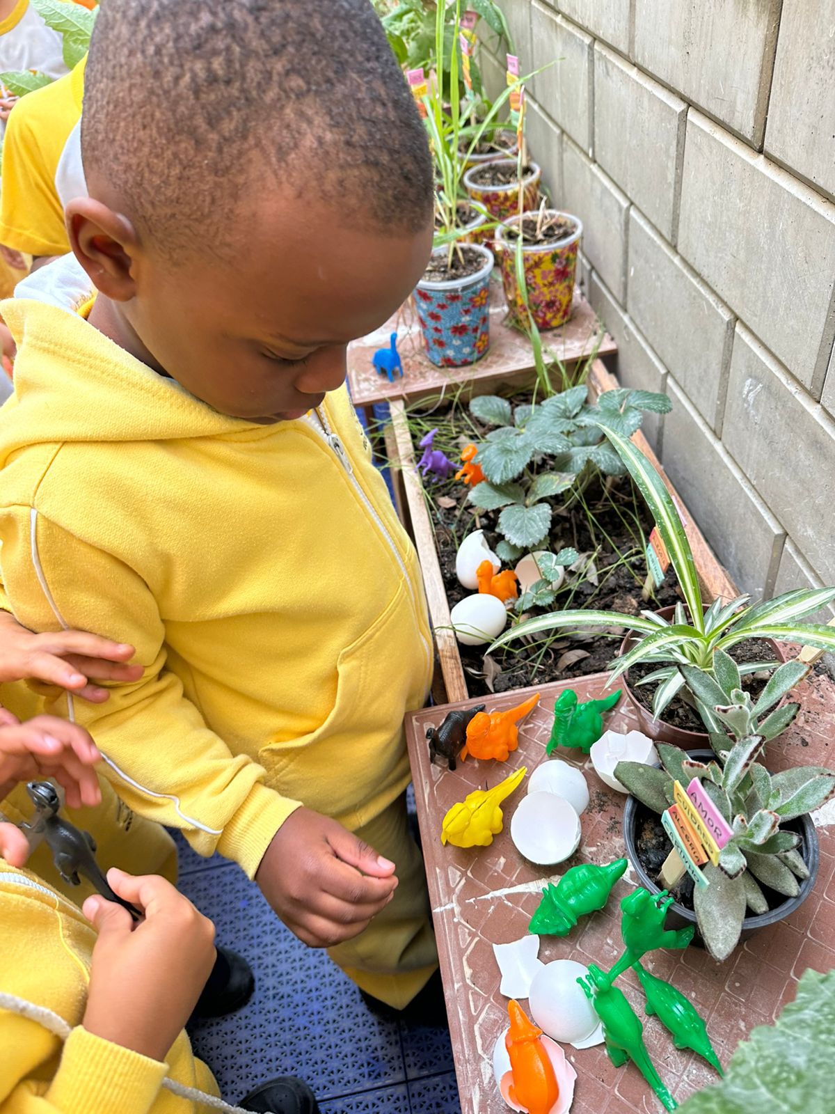 Ninho de Dinossauro Surpreende a Turma2.jfif