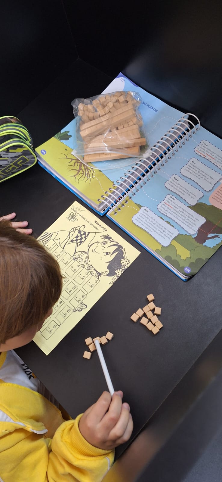 Matemática com material dourado.jfif