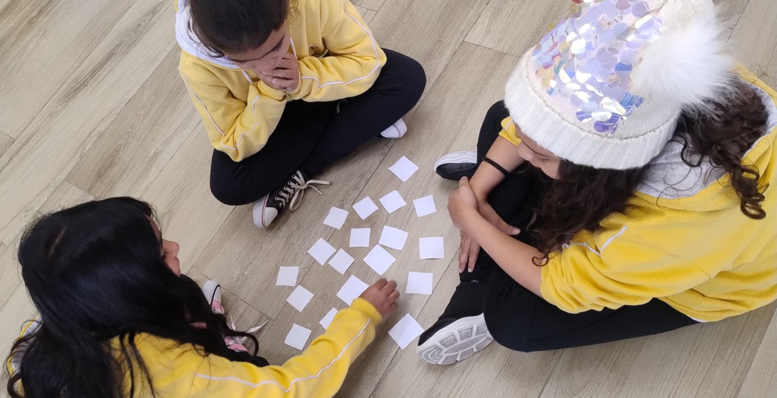 Jogo da Memória Animal Aprender Também é Brincar!2.jfif